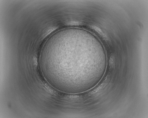 X0000115391209200911171449