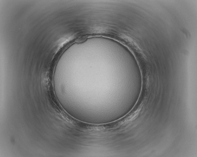 X0000115391210200911171449