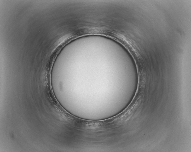 X0000115391211200911171449