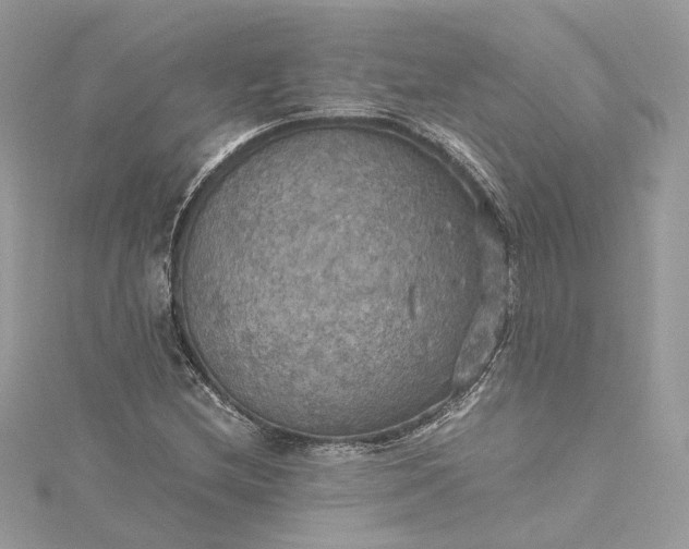 X0000115391212200911171449