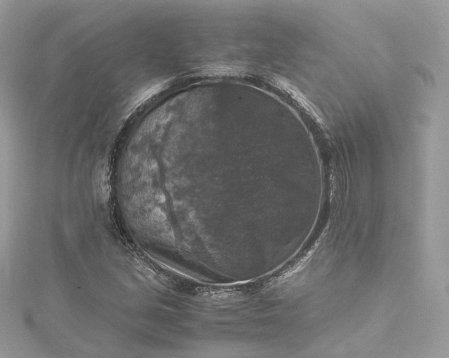 X0000115391213200911171449