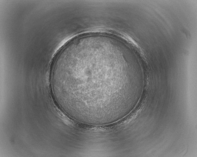 X0000115391216200911171449