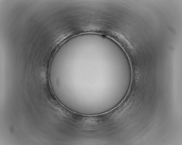 X0000115391217200911171449