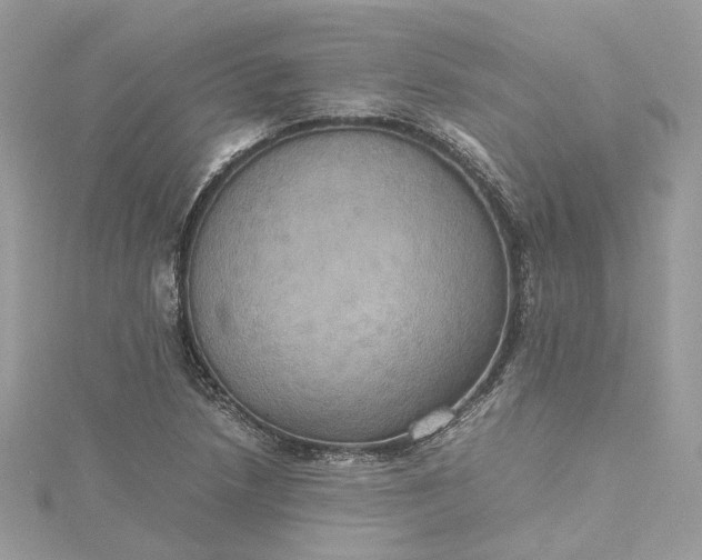 X0000115391218200911171449