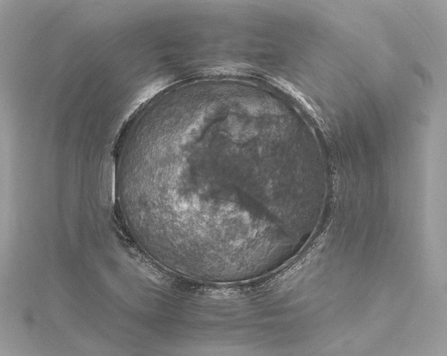 X0000115391219200911171449