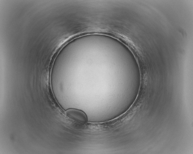 X0000115391220200911171449