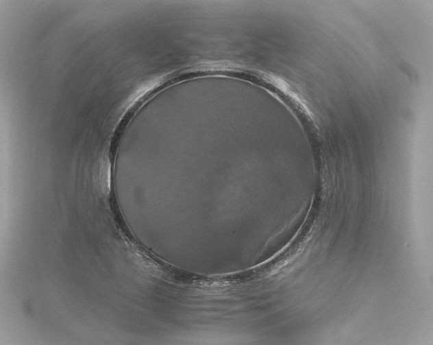 X0000115391221200911171449