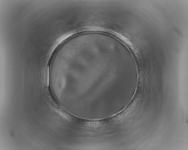 X0000115391223200911171449