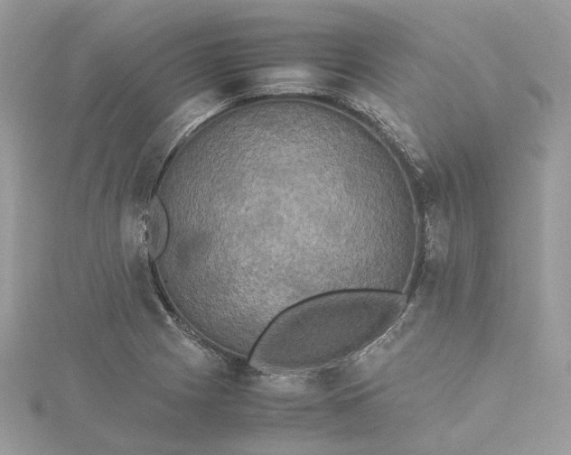 X0000115391225200911171449