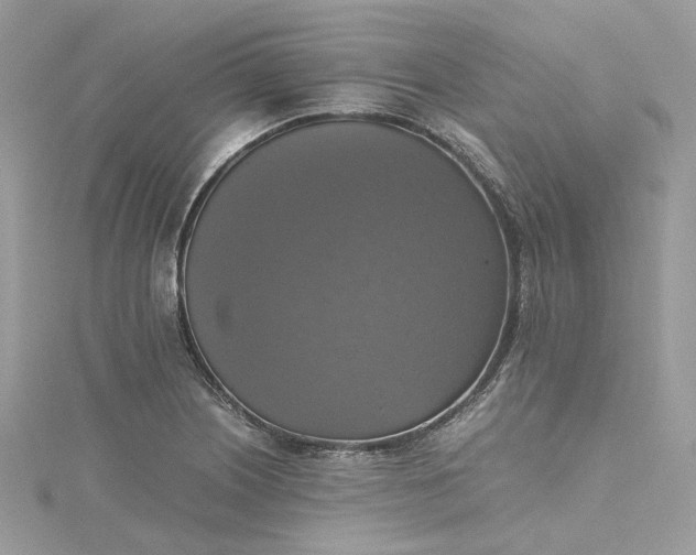 X0000115391226200911171449