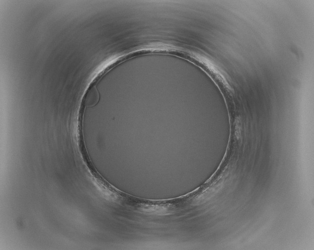 X0000115391229200911171449