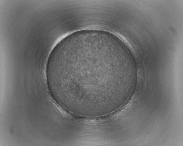 X0000115391230200911171449