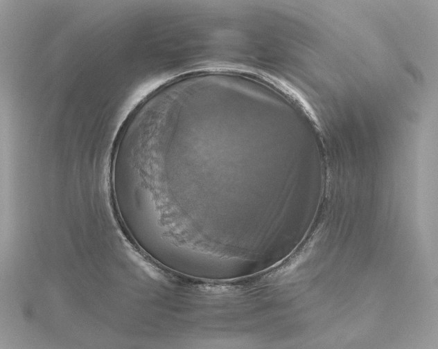 X0000115391231200911171449