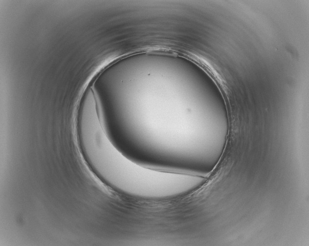 X0000115391235200911171449