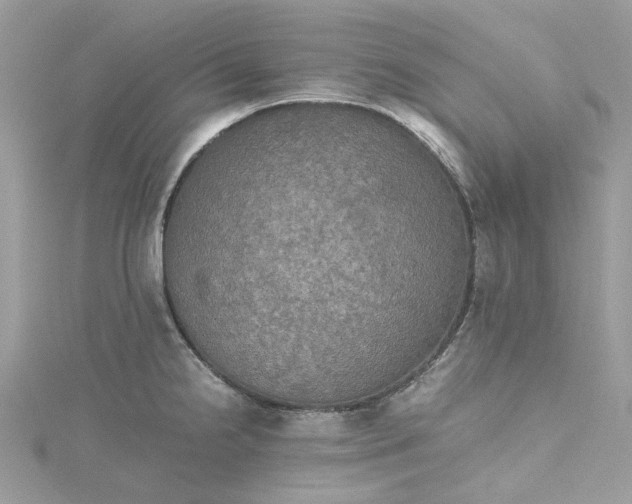 X0000115391238200911171449