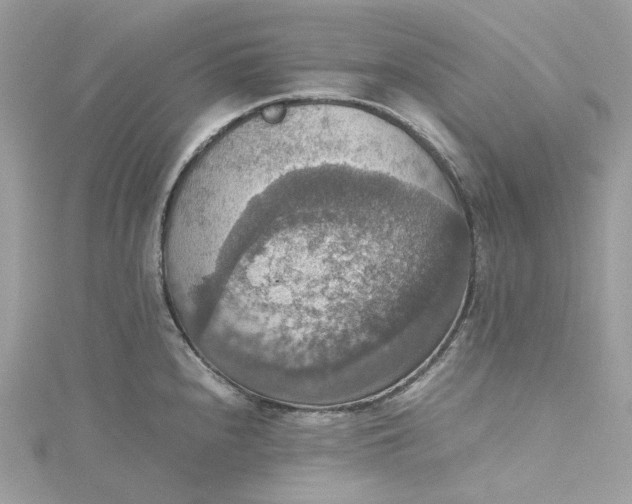 X0000115391240200911171449