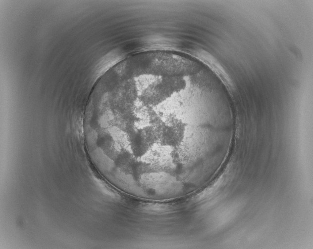 X0000115391241200911171449