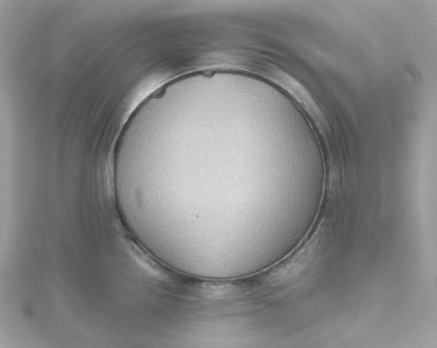 X0000115391242200911171449