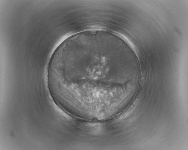 X0000115391243200911171449