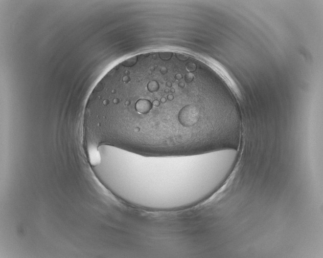 X0000115391244200911171449