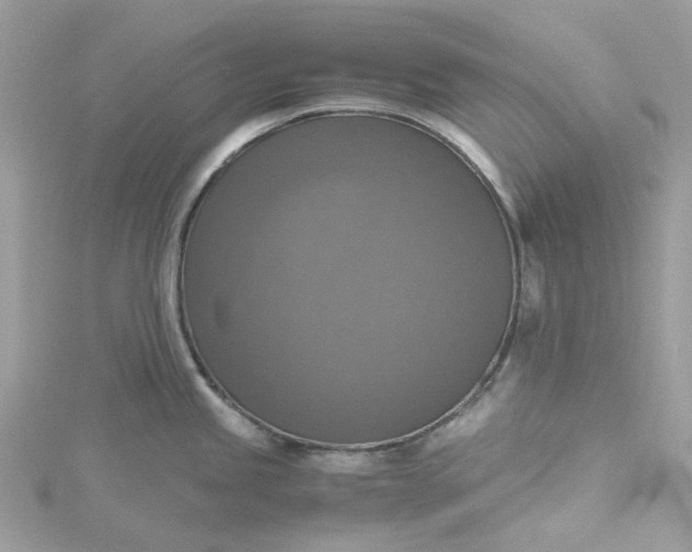 X0000115391245200911171449