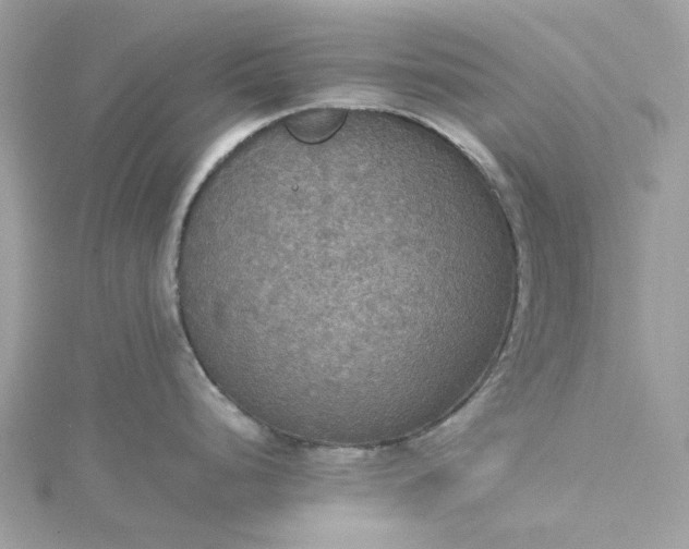 X0000115391248200911171450