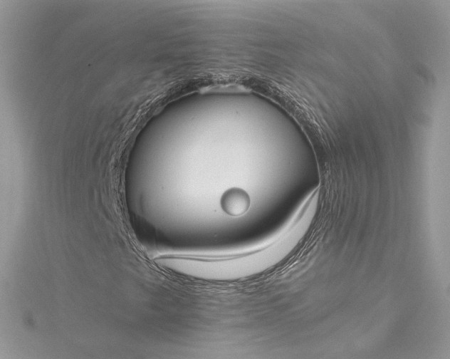 X0000115391249200911171449