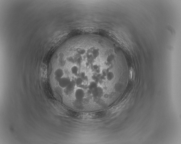 X0000115391251200911171449