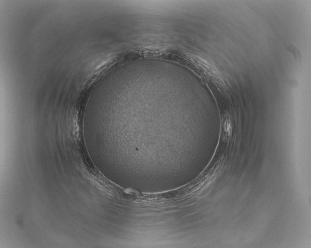 X0000115391252200911171449