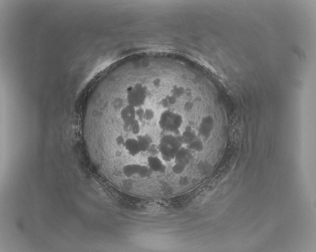 X0000115391255200911171449