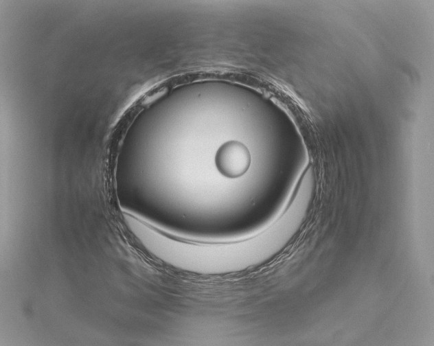 X0000115391256200911171449