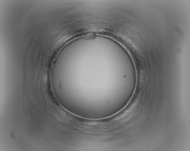 X0000115391257200911171449