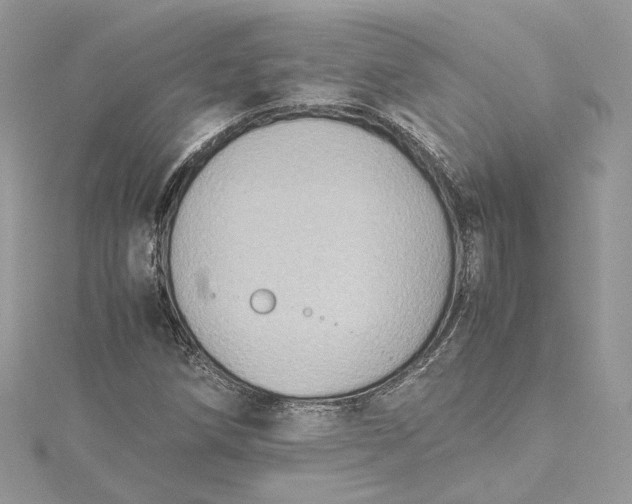 X0000115391258200911171449