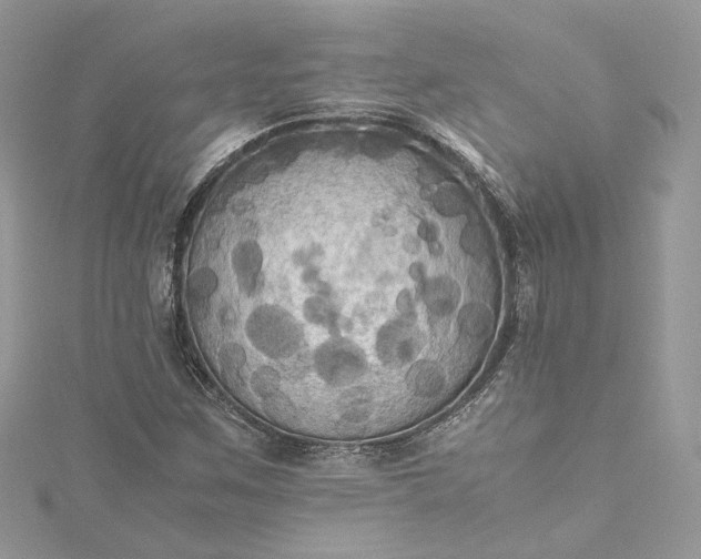 X0000115391259200911171449