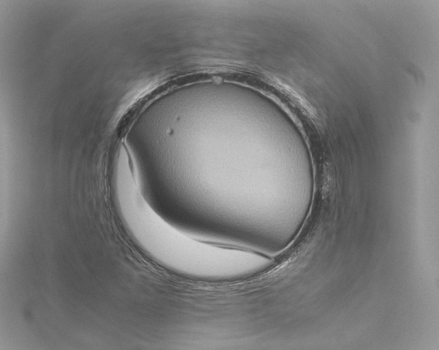 X0000115391261200911171449