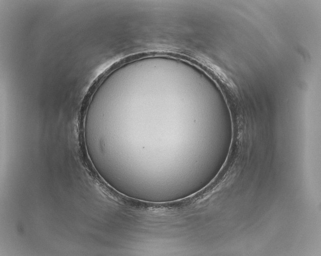 X0000115391264200911171449