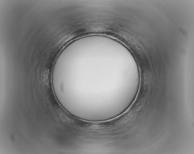 X0000115391265200911171449