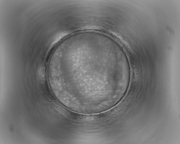 X0000115391266200911171449