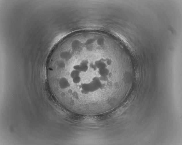 X0000115391267200911171449