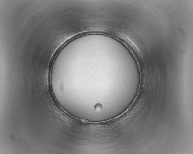 X0000115391268200911171449