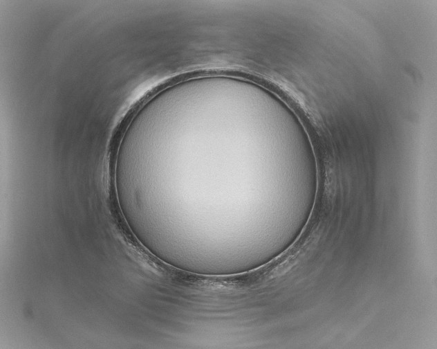 X0000115391270200911171448