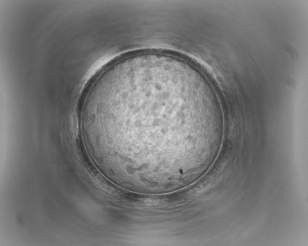 X0000115391271200911171448