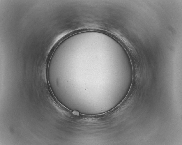 X0000115391272200911171448