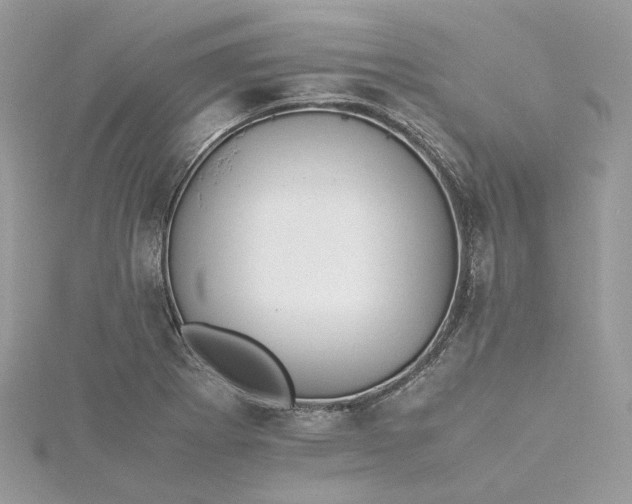 X0000115391273200911171448