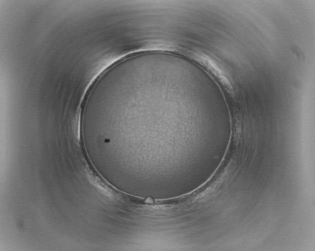 X0000115391276200911171448