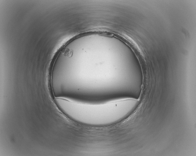 X0000115391277200911171448