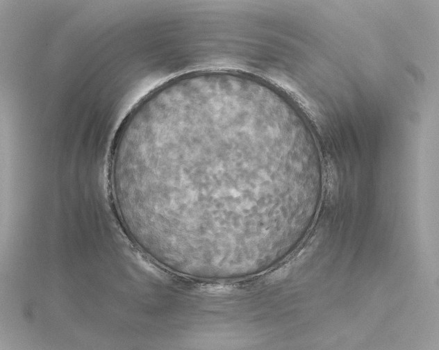 X0000115391278200911171448