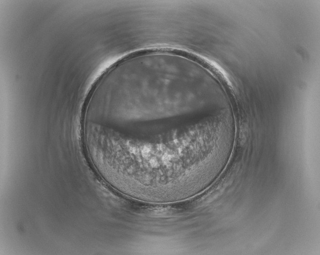 X0000115391279200911171448