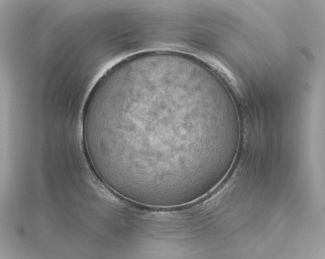 X0000115391280200911171448