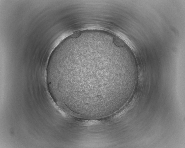 X0000115391282200911171448